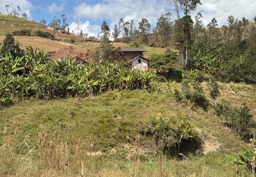 Casita rural y zona cultivable dentro del terreno de Casa D'Panchita