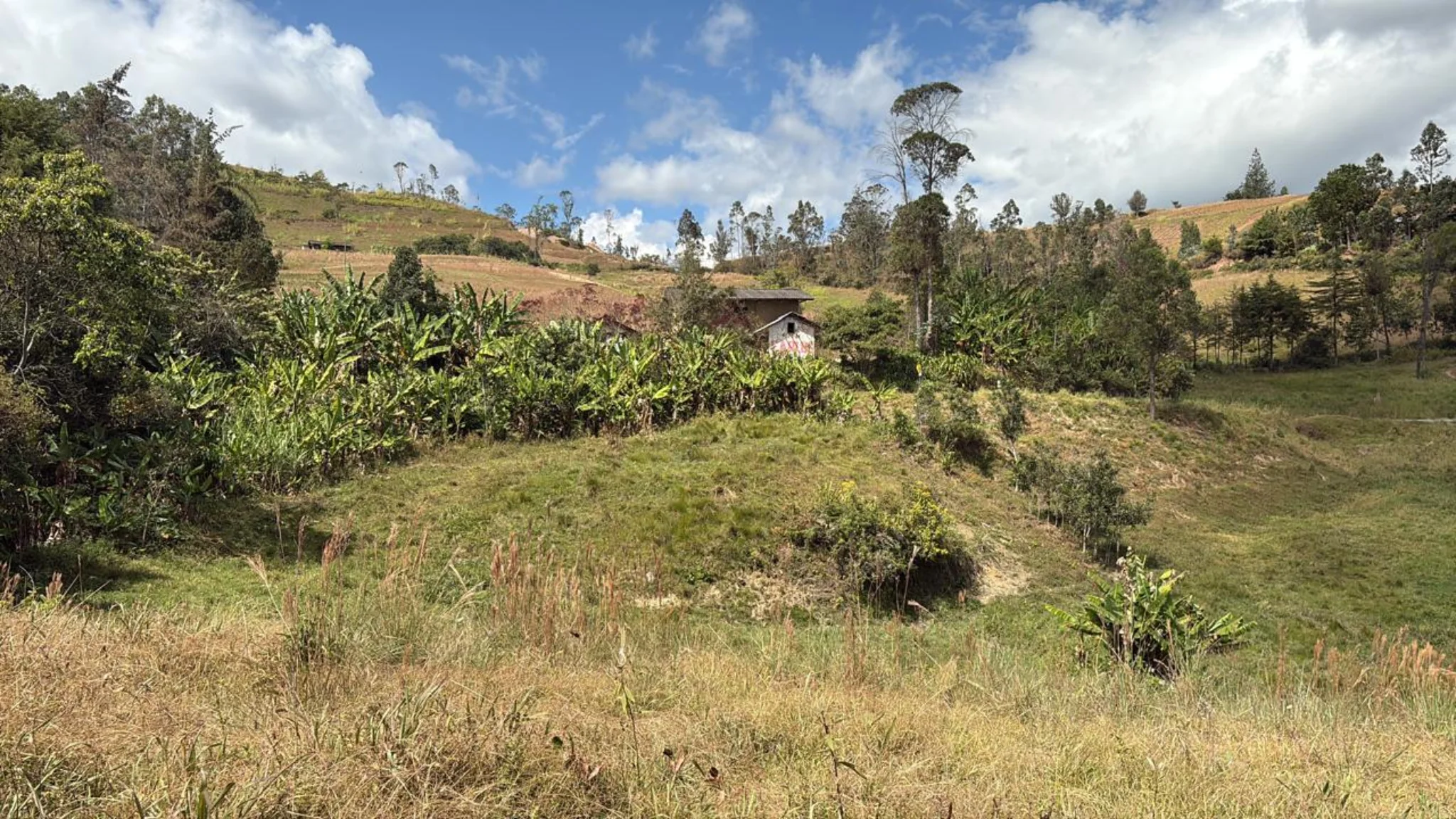 Terreno rural de Casa D'Panchita con vegetación, laderas y casita en Santa Cruz, Cajamarca